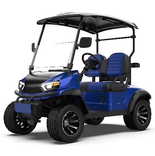 golf cart Custom L